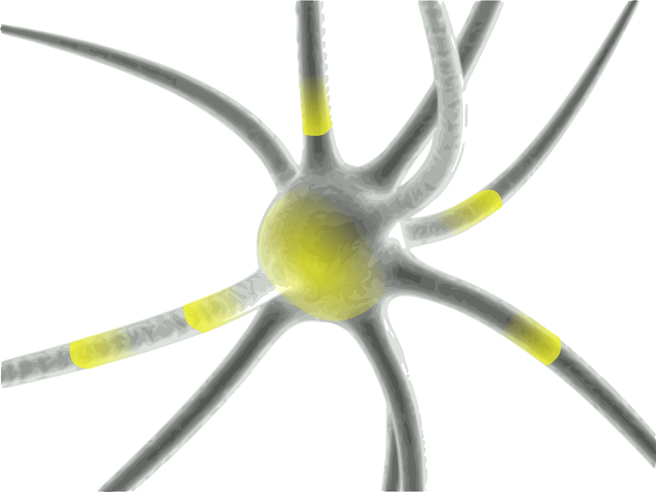 neuron, synapse, science-160944.jpg