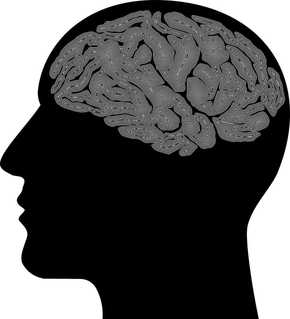man, brain, psychology-5893120.jpg