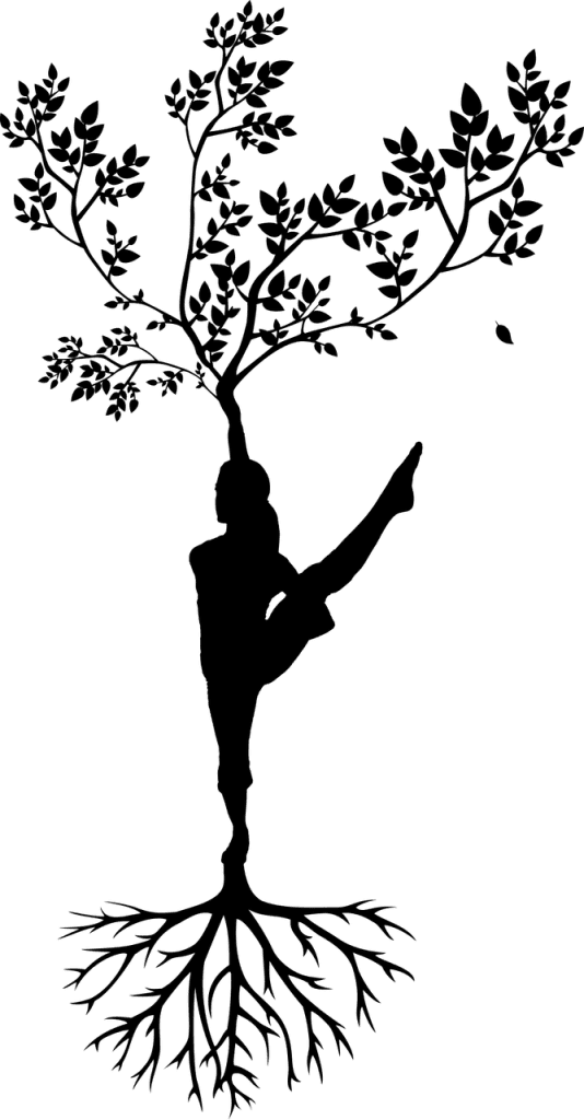 silhouette, women, tree-3087519.jpg