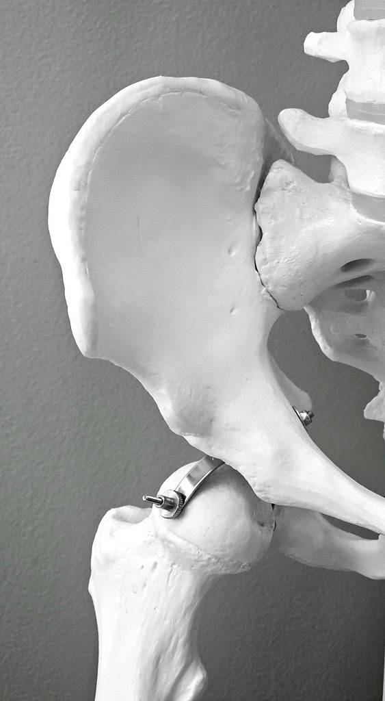 A black and white photo of a human skeleton